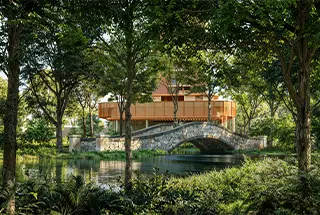 Forest With Native Flora And Fauna